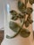 The Marbro Lamp Company Pair of 1960s Marbro Pink Roses Lamps For Sale - Image 4 of 12