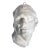 19th Century Bust of Demosthenes 4th Century Bc Greek Orator For Sale