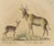 Karl Joseph Brodtmann, Antelope, 1816, Lithograph For Sale - Image 3 of 9