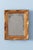 Goldenrod French Louis XV Gilt Gesso Mirror, 1750 For Sale - Image 8 of 8