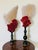 Gorgeous Pair of Sea Marine Assemblage on Stands For Sale - Image 13 of 14
