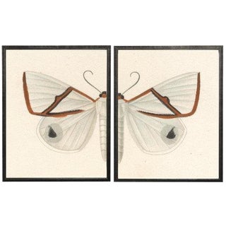 Split White and Red Butterfly - 46" X 29" For Sale