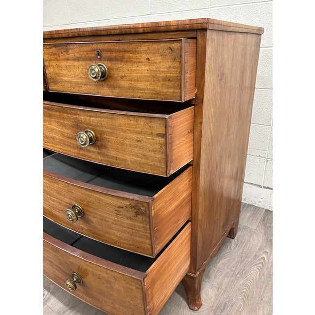 Antique Federal / Hepplewhite Style Bowfront Mahogany Chest of Drawers For Sale - Image 9 of 11