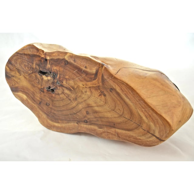 Late 20th Century Natural Burl Knot Maple Candle Holder For Sale - Image 5 of 6