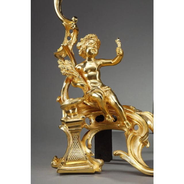 Louis XV Style Andirons in Gilt Bronze, Set of 2 For Sale - Image 9 of 18