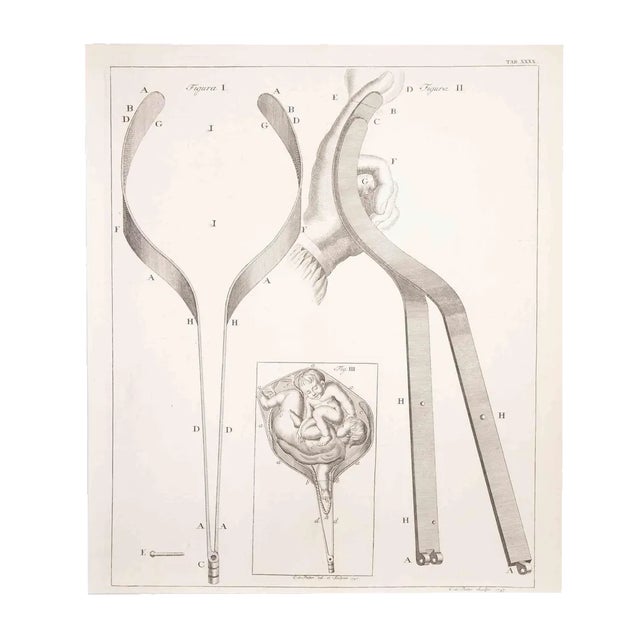 Lorenz Heister, Surgical Instruments, Etching, 1750 For Sale