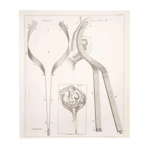 Lorenz Heister, Surgical Instruments, Etching, 1750