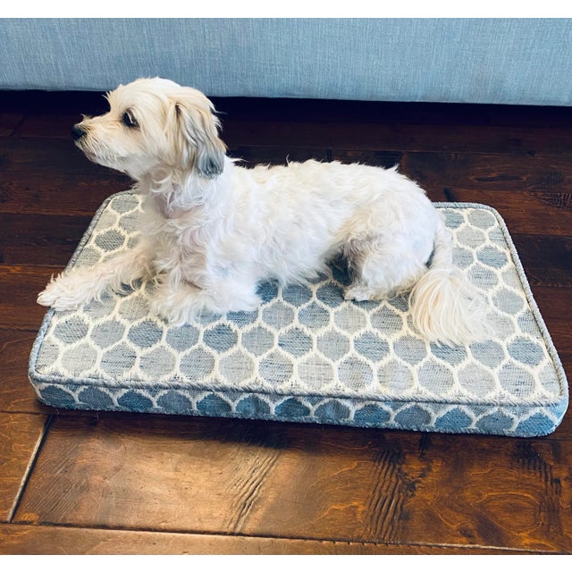 Abstract Stout Edgar Glacier Dog Pet Bed / Little Dog For Sale - Image 3 of 8