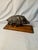 Vintage, French, Bronze, Boar Sculpture, Wood Mounted For Sale In Salt Lake City - Image 6 of 8
