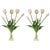 Bring a fresh, classic look to your space with this White Tulip Bundle Set. Featuring a mix of open blooms and budding...