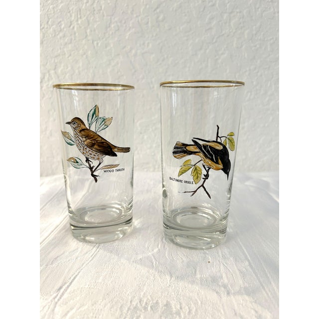 American Mid-Century Bird Watcher Highball Glasses, Set of 5 For Sale - Image 3 of 4