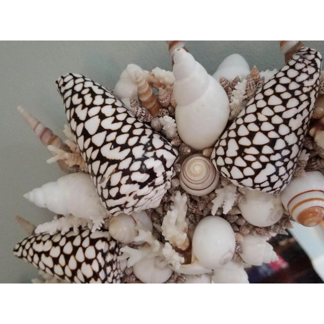 Beige Handmade Natural Sea Shell Encrusted Wall Mirror For Sale - Image 8 of 11