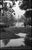 Not Yet Made - Made To Order Paul Cooklin, View of RIVer Vltava, Prague, Edition of 50 For Sale - Image 5 of 5