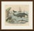This antique natural history print shows a bowhead whale, a dolphin and a sea lion, an original plate from c. F. A. Kolb's...