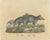 Karl Joseph Brodtmann, Tapir Family with Juvenile in Tropical Wetland, 1816, Lithograph For Sale - Image 3 of 10