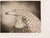Benito Trolese, Eagle and Horse, 1990s, Etching For Sale