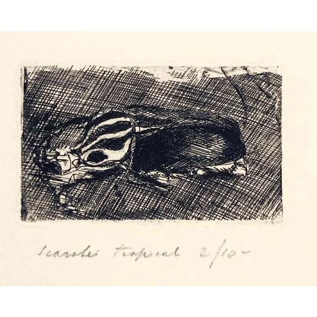 Image dimensions: 6.5 x 11 - 8.5 x 10 cm. Scarabei tropicali (tropical beetles) is an original artwork realized by the...