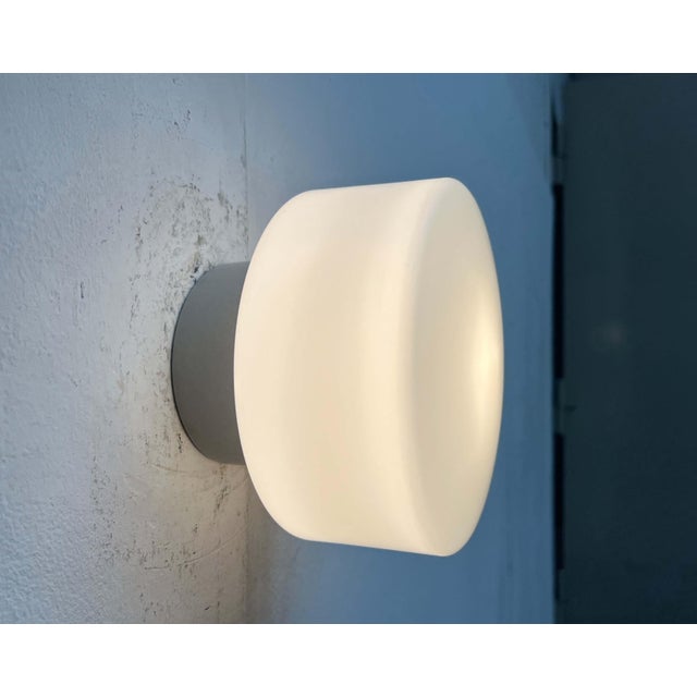 Mid-Century Modern Minimalist German Ceiling Glass Lamps from Kaiser Leuchten, 1960s, Set of 2 For Sale - Image 14 of 18