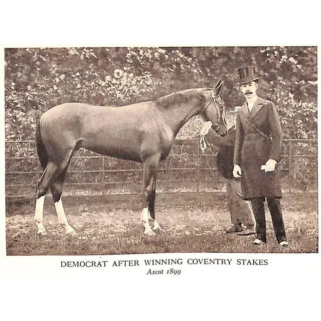 "Sport on Land and Water: Volumes I, Ii, Iii" 1913 Griswold, Frank Gray For Sale In New York - Image 6 of 18