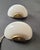 Gold Shell-Shaped Wall Lights in Refined Murano Glass, 1960s, Set of 2 For Sale - Image 8 of 13