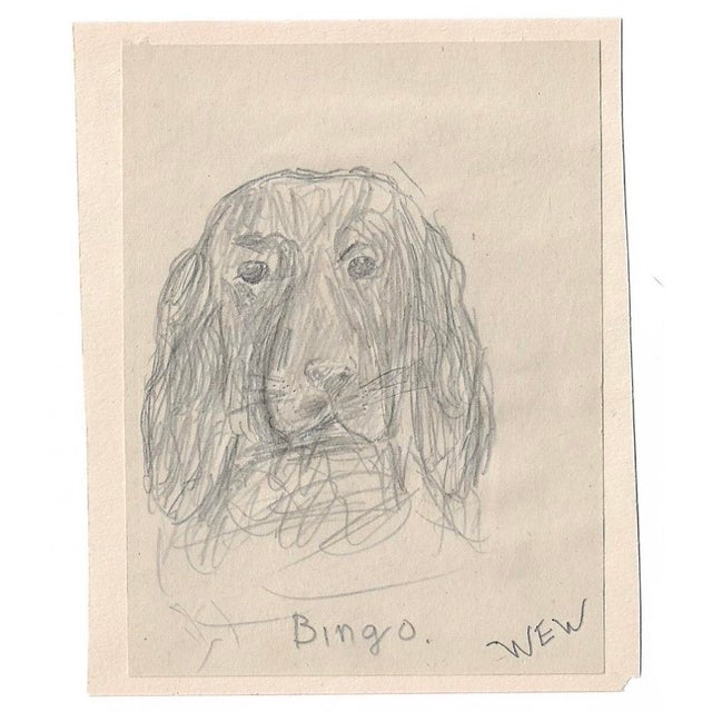 1943 drawing of Bingo the by William E. Wood, a Devon artist in England. Drawing on paper laid down to a mount. Signed...