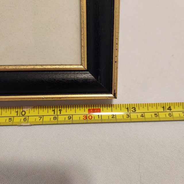1990s 1990s Framed Zebra Natural History Style Print - Black & Gold Wood Frame For Sale - Image 5 of 7
