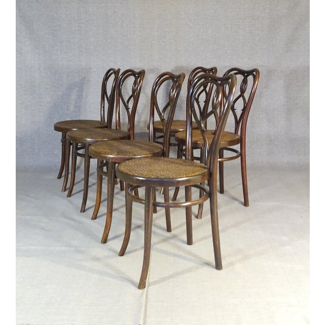 Art Nouveau New York Chairs by Michael Thonet for Gebrüder Thonet, 1925, Set of 6 For Sale - Image 6 of 15