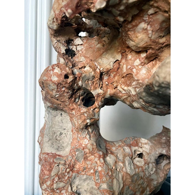 Chinese Taihu Scholar Stone Sculpture on Wood Stand For Sale - Image 14 of 15