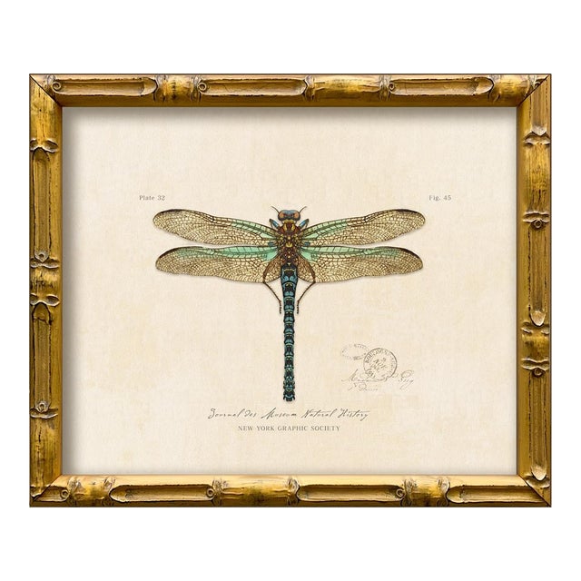 Contemporary Reproduction of Vintage "Garden Friends" Art Print (4), Framed Dragonfly For Sale