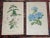 Antique 19th Century Hand Colored Botanical Lithographs - Set of 7 For Sale - Image 4 of 8