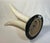 Post Modern Tusk-Motif Pedestal Accent/Side Table by Maitland Smith, Circa 1970s-80s For Sale - Image 11 of 12