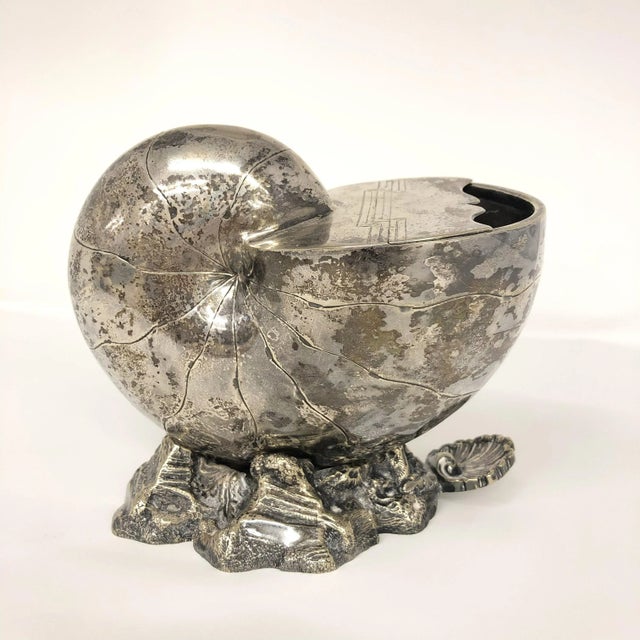 Silver Antique English Silver Plated Nautilus Shell Spoon Warmer For Sale - Image 8 of 8