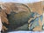 17th Century 17th Century Flemish Verdure Tapestry Pillow For Sale - Image 5 of 7