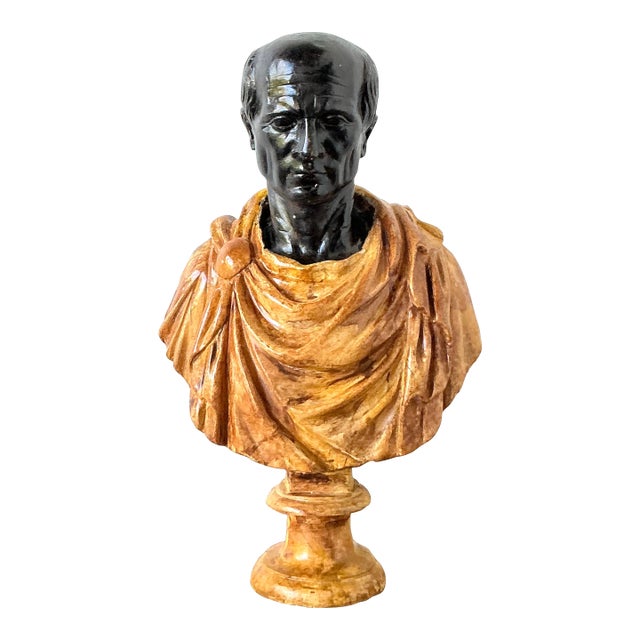 Vintage Grand Tour Plaster Bust of Man For Sale