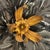 Wall sconce made in France in the late 1960s. In the shape of a flower with elegant black petals and golden pistils....
