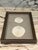 1990s Mushroom Coral, Framed For Sale - Image 5 of 5