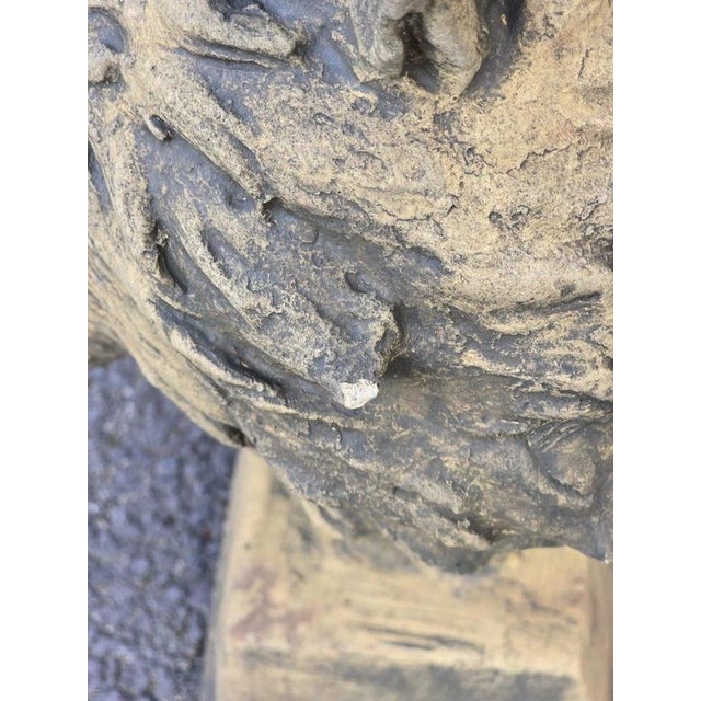 English Cast Stone Wolf Head Bust For Sale - Image 16 of 17