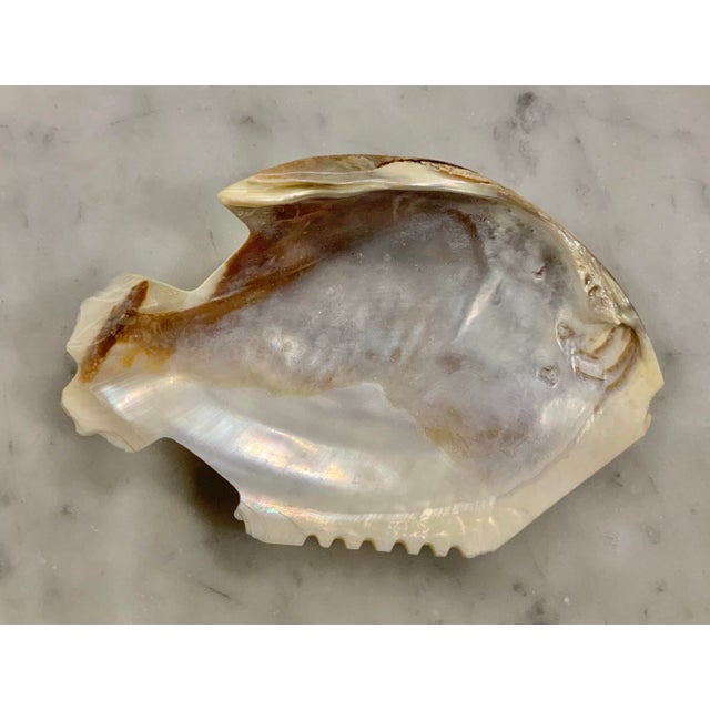 Set of 6 Hand-Made Mother‑of‑Pearl Fish Bowls — Caviar or Appetizer Dishes, 4.5” Wide for Palm Beach & Coastal Styles - See Pics! For Sale In New Orleans - Image 6 of 7