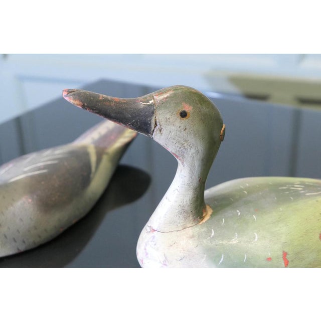 Painted and Carved Decoy Ducks, Set of 4 For Sale - Image 3 of 8