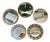 French and Belgian Barbotine Asparagus Plate Wall Plates, Set of 5 For Sale