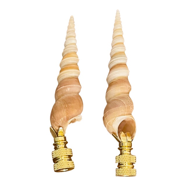1970s Coastal Organic Spiral Sea Shells Lamp Finial Pair For Sale