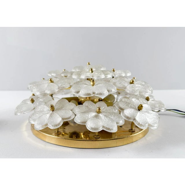 Mid-Century Modern Floral Wall Lamp by Ernst Palme, 1960s For Sale - Image 4 of 18