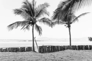 "Magic Sticks" Black and White Beach Scene Limited Edition Fine Art Photograph Print by Kristen M. Brown