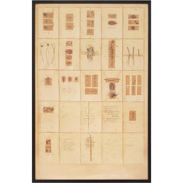 Anne and Patrick Poirier, Journal Herbier de Bordeaux, 1970s, Mixed Media For Sale - Image 4 of 4