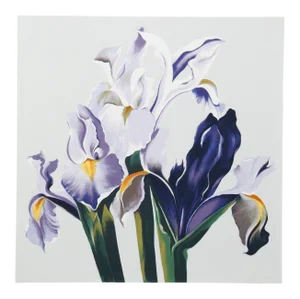 Lowell Nesbitt, "Three Irises", Photorealist Flower Print