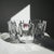Orrefors Swedish Corona Crystal Bowls by Lars Hellsten for Orrefors, 1970s, Set of 3 For Sale - Image 4 of 16