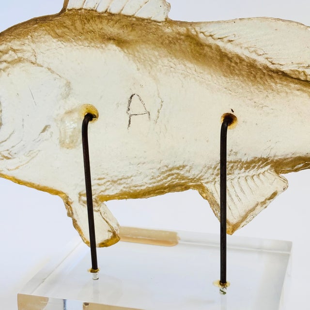 Late 20th Century Vintage Acrylic Fish Sculpture For Sale - Image 5 of 11