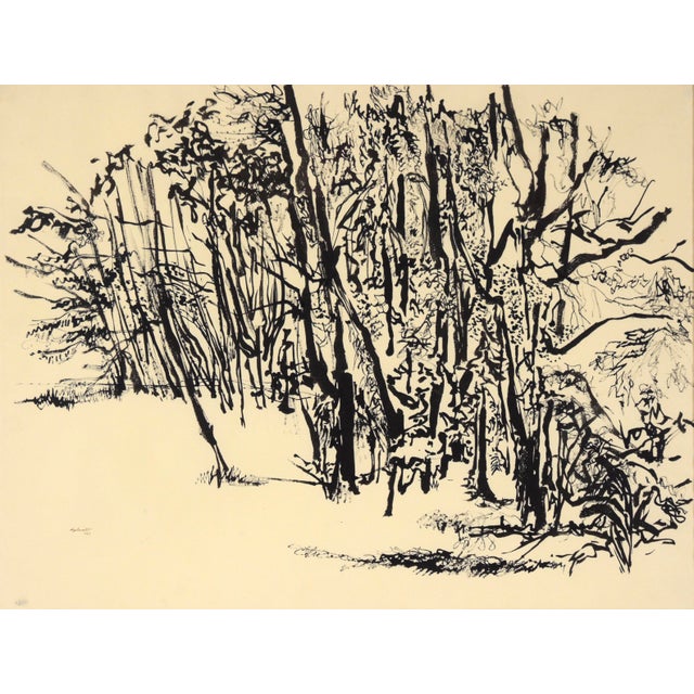 Forest Landscape in Sumi Ink on Paper High contrast abstracted landscape by an unknown artist "Shmitt" (20th Century). The...