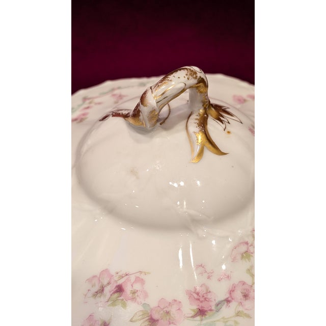 Victorian Late 19th Century Haviland Limoges Ranson Blank Covered Vegetable Dish For Sale - Image 3 of 13