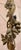 Vintage Sculptural Wrought Iron and Foliage & Grape Cluster Motif Two-Light Floor Lamp, Torchère- Circa 1950s from a Palm...